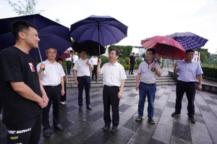 桂溪村最新天气预报及详细气象分析，桂溪村天气预报及气象分析详解