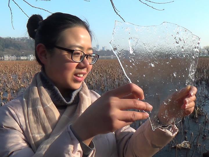 荷花池街道最新天气预报详解，荷花池街道天气预报最新详解