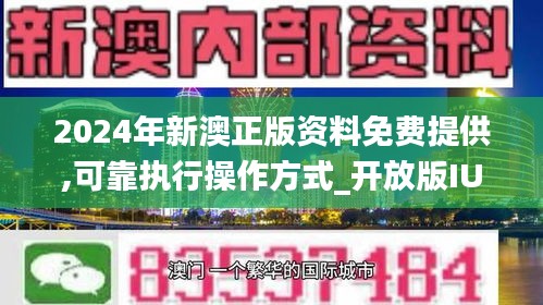 新澳2024资料免费大全版,功能性操作方案制定_FHD64.340