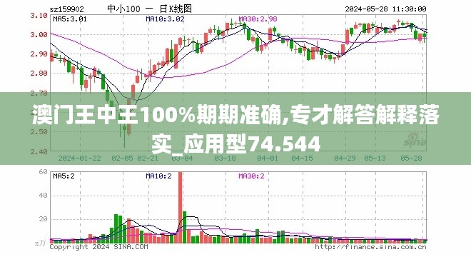 新澳门王中王100%期期中,定量分析解释定义_PT41.924