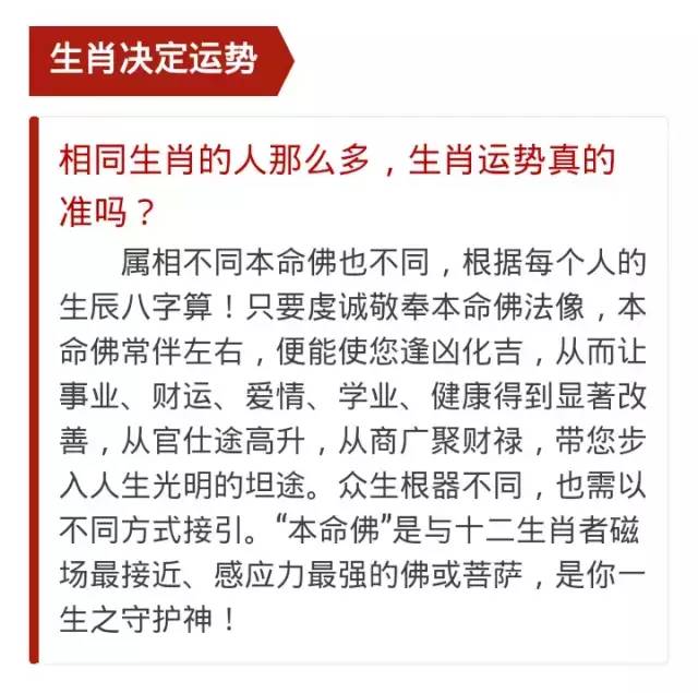 最准一码一肖100%濠江论坛,标准化实施程序解析_定制版6.22