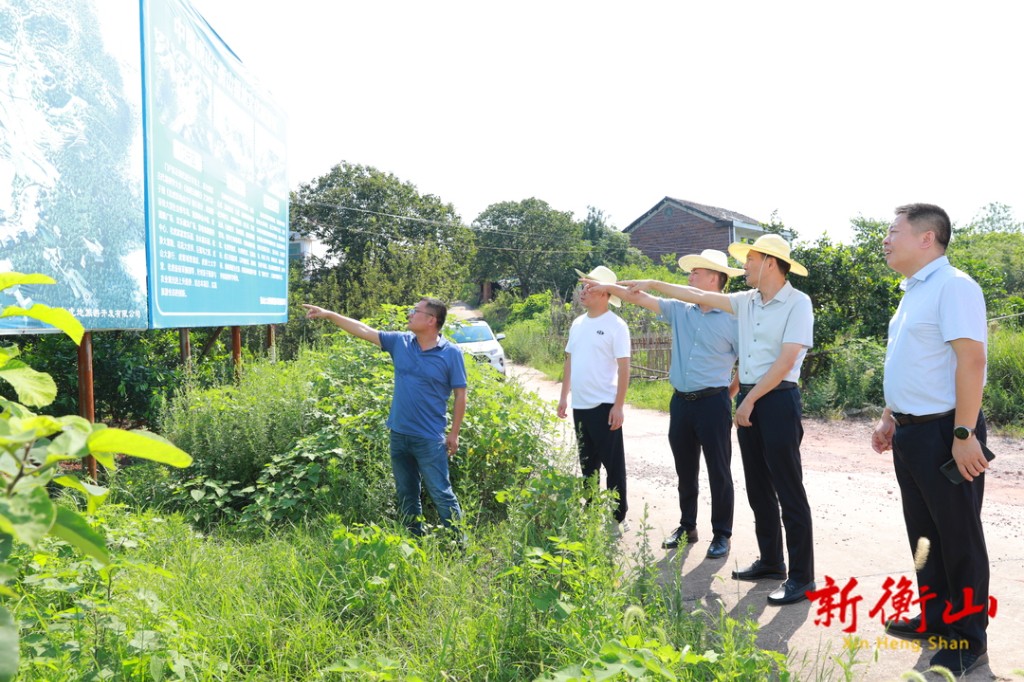 衡山县农业农村局最新发展规划，塑造乡村新面貌，推动农业现代化，衡山县农业农村局发展规划，塑造乡村新面貌，推动农业现代化进程