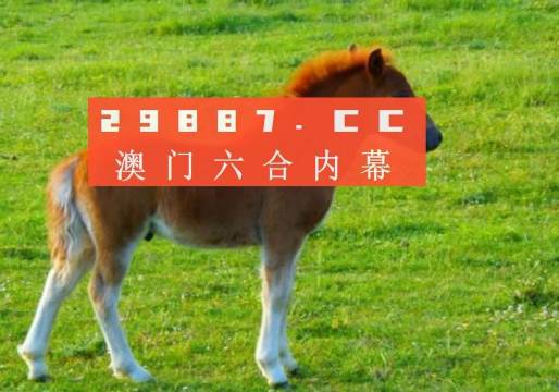 澳门今晚必中一肖一码362期,正确解答落实_专业版150.205