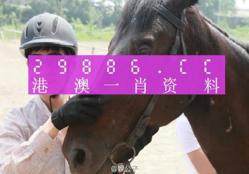 澳门必中一肖一码,诠释解析落实_AR版7.672