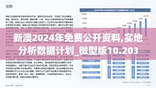 新澳2024年精准正版资料,全面执行数据设计_XP44.365