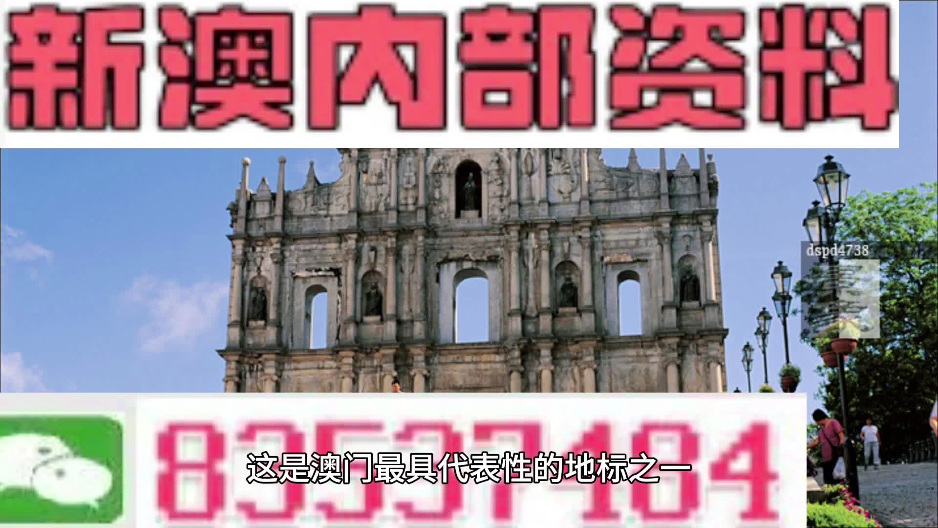 2004澳门正板资料,动态词语解释落实_精简版9.762