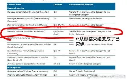 新澳今天最新资料网站,全局性策略实施协调_RemixOS38.914