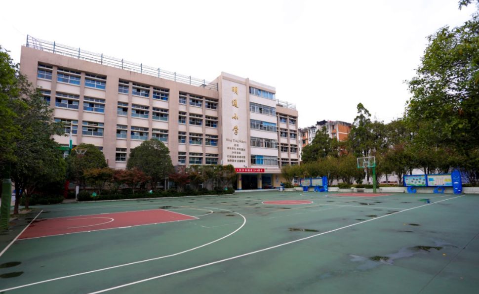 盘龙区小学最新人事任命，引领教育新篇章，盘龙区小学人事任命揭晓，引领教育新篇章启航