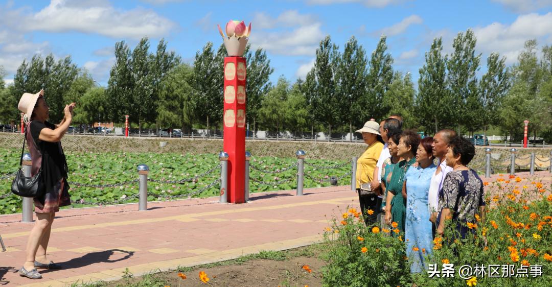 林口县市场监督管理局最新项目，推动市场监管现代化，助力地方经济腾飞，林口县市场监管现代化项目助力地方经济腾飞