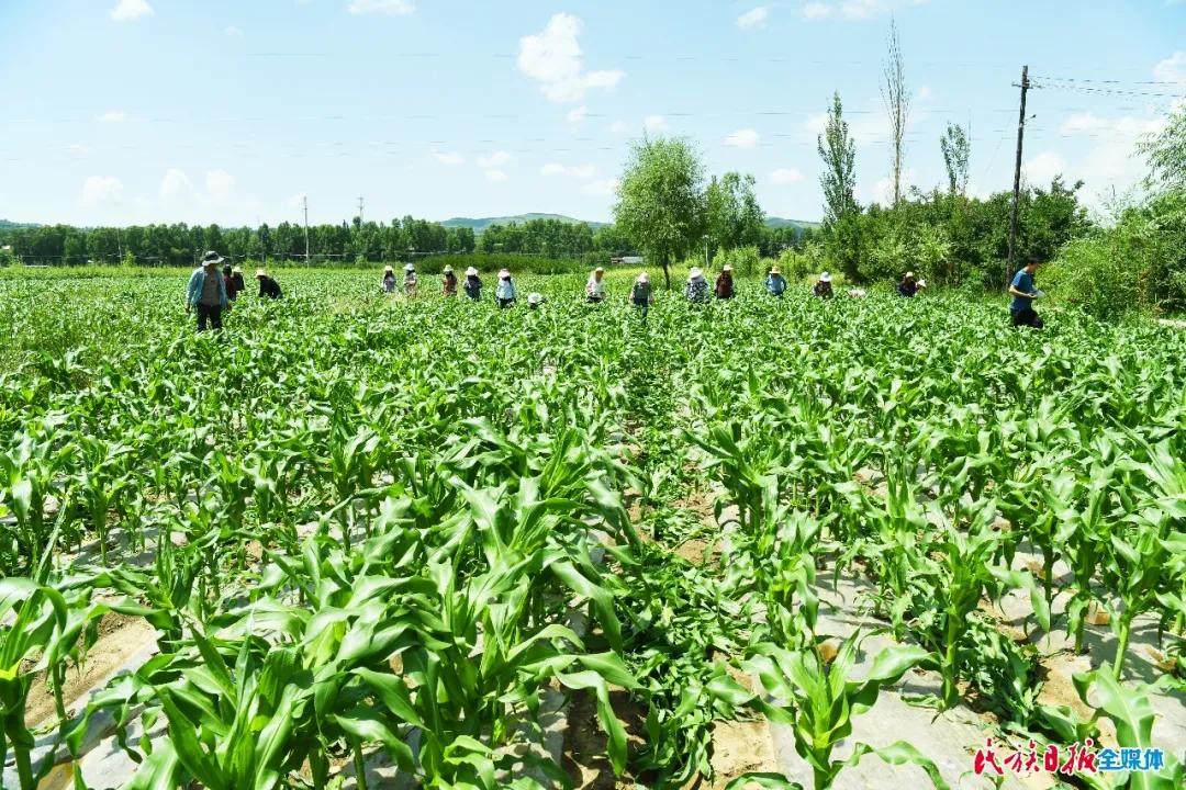 达浪村最新招聘信息及求职指南，达浪村招聘信息更新与求职指南