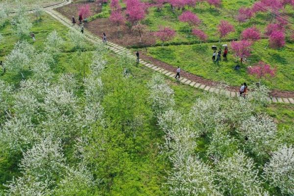 大足县文化广电体育和旅游局最新领导团队介绍，大足县文化广电体育和旅游局领导团队介绍